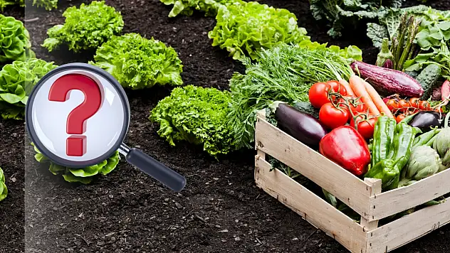 B-Reçete sistemi başlıyor: Sistem nasıl işleyecek?