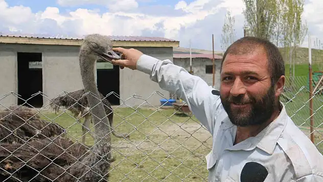 Sivas'ta ilk: Deve kuşu satın aldı - Hayvanlara kümes yaptı