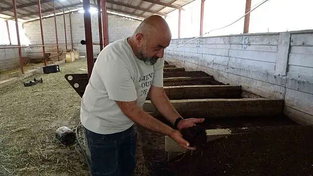 Evinin bahçesinde solucan gübresi üretiyor