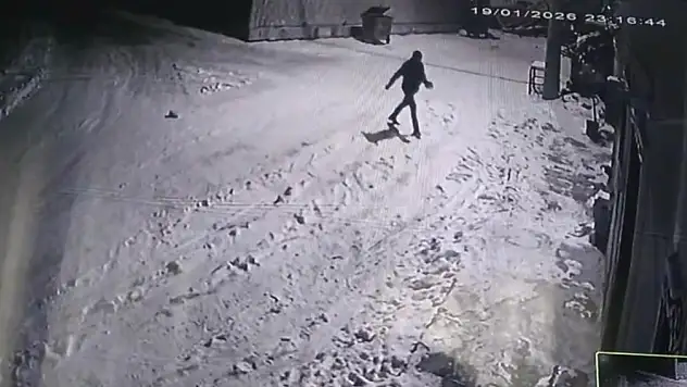 Bahçesine giren kurtları çaydanlıkla kovaladı!