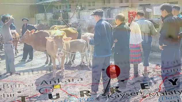 Bakan açıkladı: 8 ilde hayvan pazarları açılıyor – Kayseri'de durum nasıl?