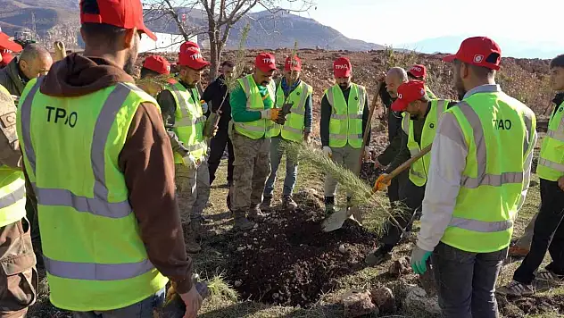 Gabar'da çevresel sürdürülebilirlik için 100 bin fidan