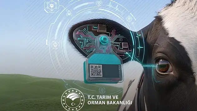 Bakanlık açıkladı! Hayvancılıkta yerli teknoloji dönemi başlıyor