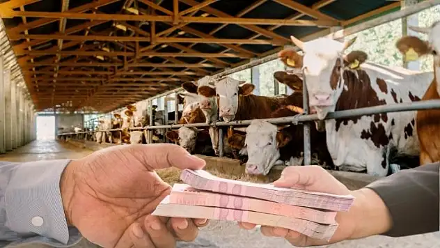 Banka kredisiyle kurban kesilir mi? İşte merak edilen sorunun cevabı...