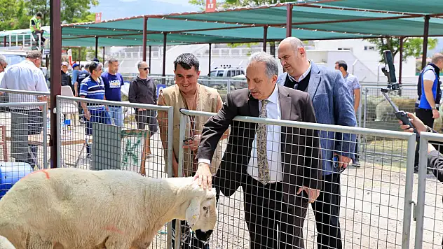 Başkan Yalçın'dan kurban pazarı ziyareti: 'Alın teri, helal kazanç'