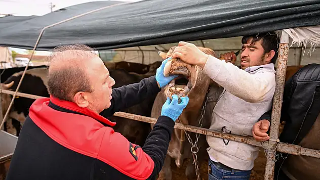 Bayrama sayılı günler kala İl Müdürü bizzat kontrol ediyor: Dikkat çeken denetim!