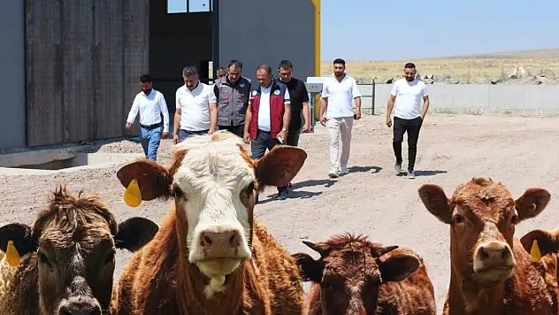 Beydeğirmeni Besi ve Hayvancılık Bölgesi'nde bir yatırım daha hayata geçiyor