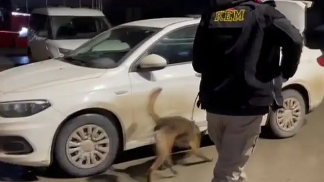 Binlerce uyuşturucu hap ele geçirildi: 3 kişi tutuklandı