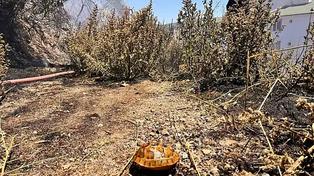Boş araziden alevler yükseldi herkes seferber oldu!