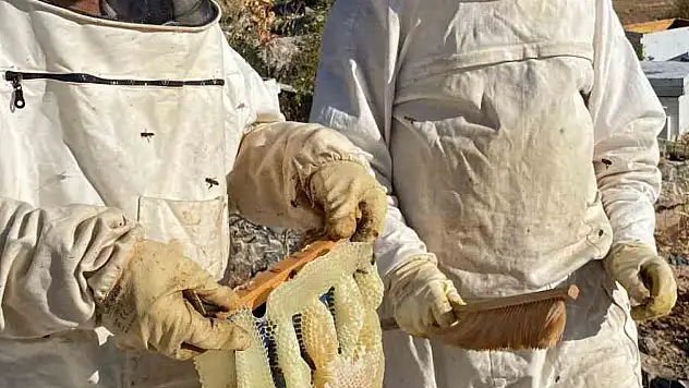 Bozkır'da Bal Bereketi