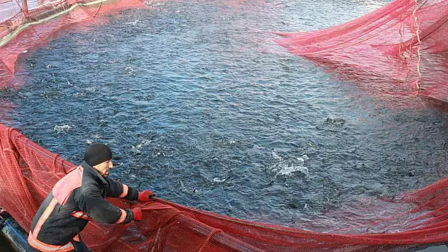 Bozkırın ortasından Rusya ve Japonya'ya yolculuk