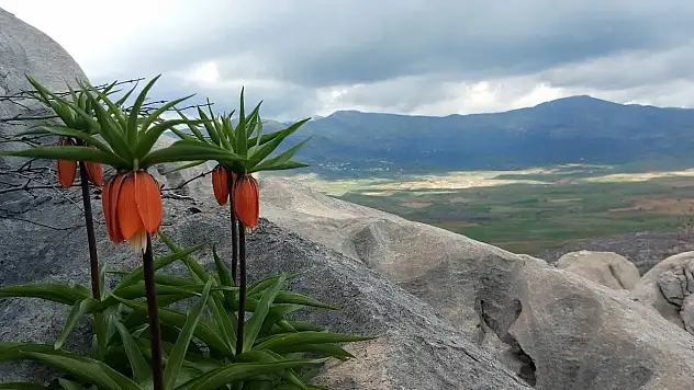 Dikkat: Koparmanın cezası 700 bin lirayı buluyor!