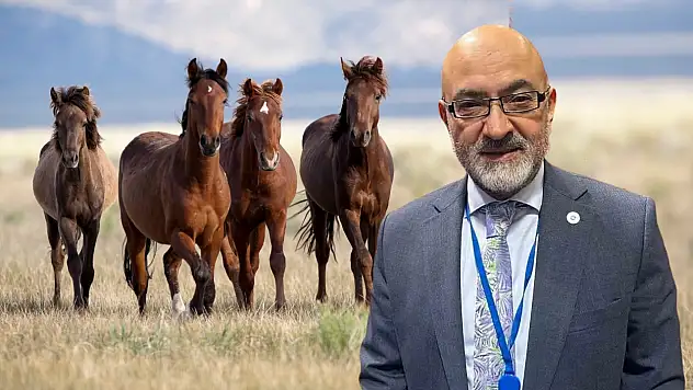 Bu görüntüler olay oldu! Kayseri'deki o anları Cahid Cıngı paylaştı