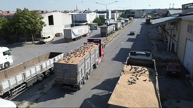 Buğday Pazarı'nda binlerce güvercinin ekmek kavgası havadan görüntülendi