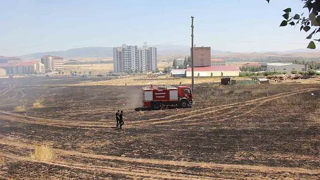Buğday Tarlasındaki Yangının Dumanı Kazaya Neden Oldu: 1 Yaralı