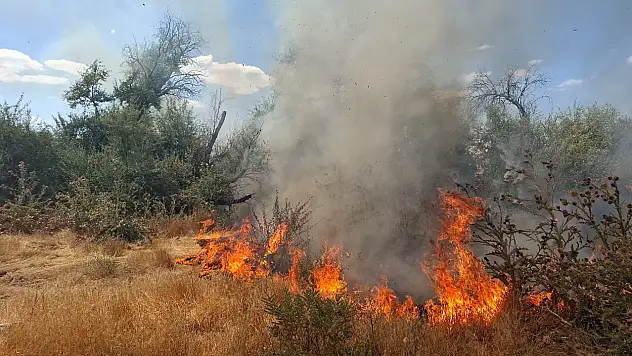Bünyan'da çalılık alanda başlayan yangın yulaf tarlasına sıçradı