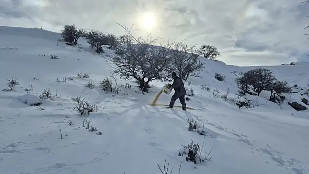 Bünyan'da sokak hayvanlarına yem desteği