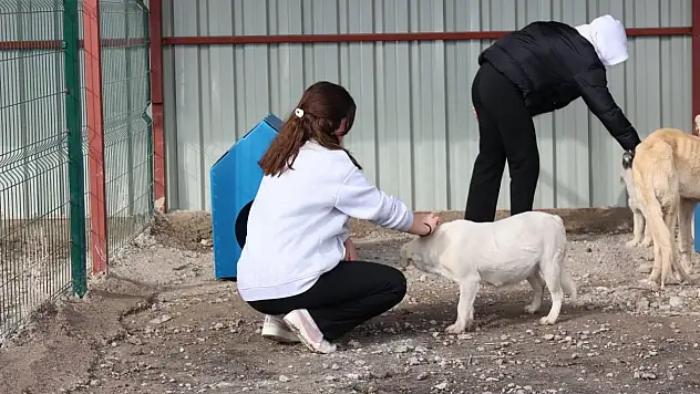 Bünyanlı öğrenciler sokak hayvanlarını ziyaret etti