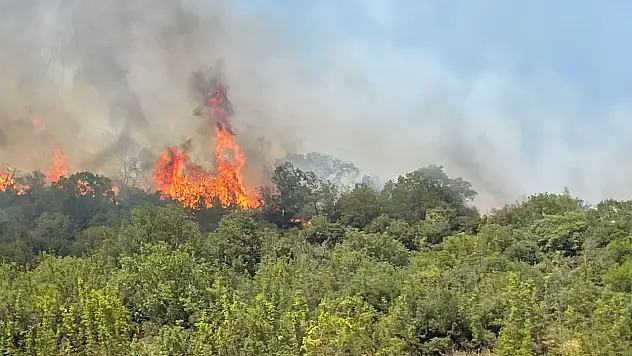 Bursa'da orman yangınlarının ardı arkası kesilmiyor