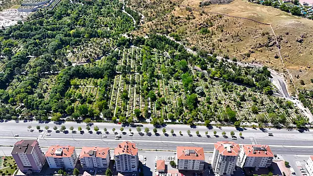 Büyükşehir Belediyesi Asri Mezarlık için harekete geçti!
