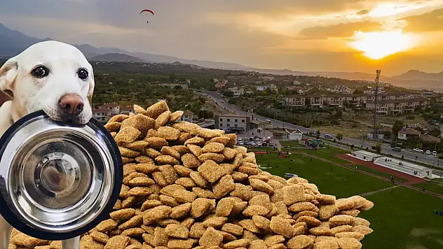 Büyükşehir Belediyesi sokak hayvanları için harekete geçti: 200 bin kilogram...