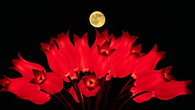 Büyükşehir objektifinden görsel şölen: Süper Dolunay tutulması!