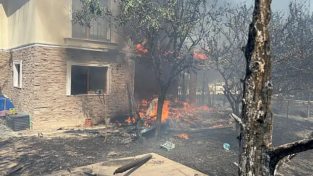 Çanakkale'de orman yangını devam ediyor - Villalar, arabalar kül oldu!