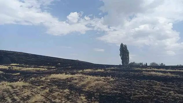 Arızalanan trafo 400 dönüm araziyi küle çevirdi