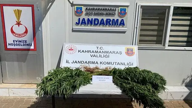 Çeşitli suçlardan 236 kişi yakalandı!