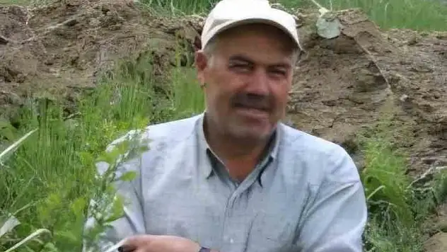 Sivas'ta acı olay: Ceviz ağacından düşen adam hayatını kaybetti