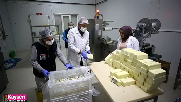 Çiftçi birliği, süt ürünleri gelirini 3 yılda 4 kat artırdı