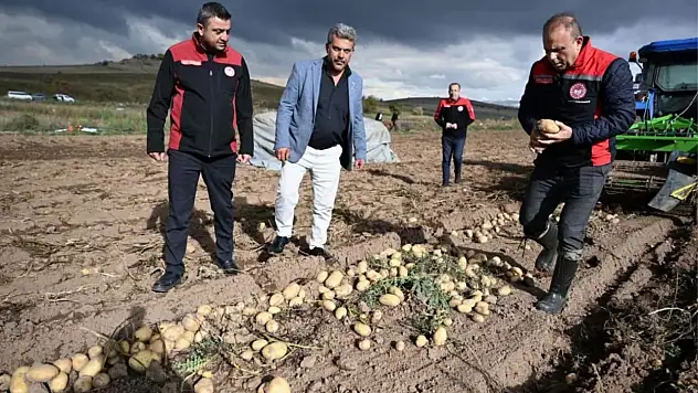 Çiftçi Dostu Müdürler Patates Hasadında!