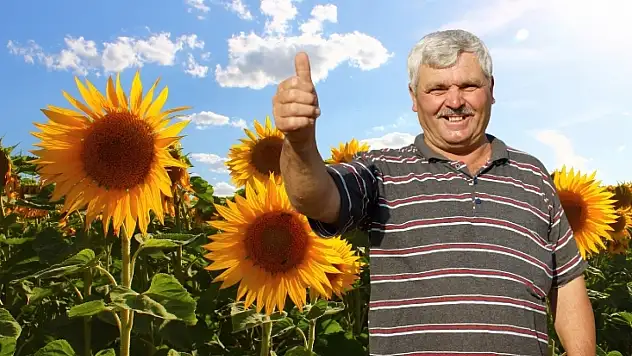 Çiftçilere müjde: Kayseri Şeker çekirdek fiyatlarını belirledi!