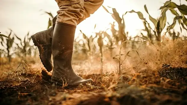 Çiftçinin maliyeti katlandı: TÜİK nisan tarım verilerini açıkladı