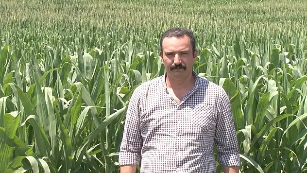 Çiftçilere kritik uyarı: 'Hastalık tarlaya girerse geri dönüşü zor!'