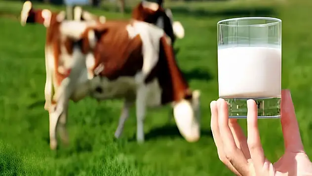 Çiğ süt desteğinde kritik süre başladı! Üreticiler bu tarihe dikkat