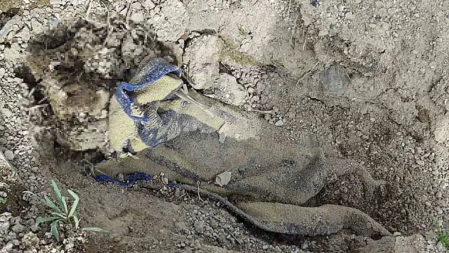 Nevşehir'de boş arazide bulundu