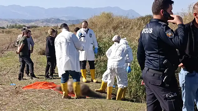 Çoban ihbar etti: Ekipler çürümüş erkek cesedi buldu