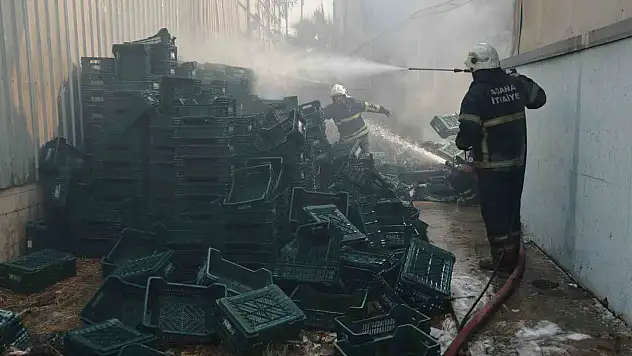 Çocukların oyunu pahalıya patladı: Binlerce kasa küle döndü