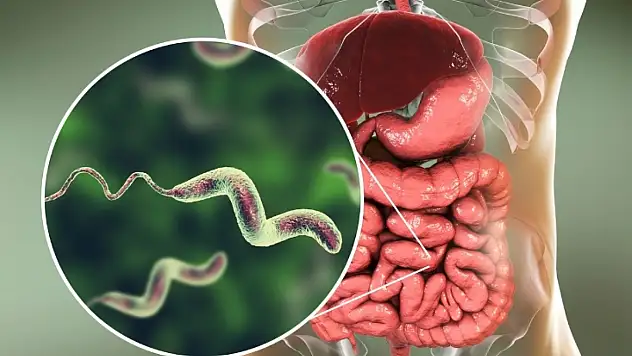Çocuklarda artan gastroenterit vakalarına dikkat