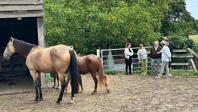 Çocuklardan yetişkinlere kadar çok yönlü fayda: Hippoterapi