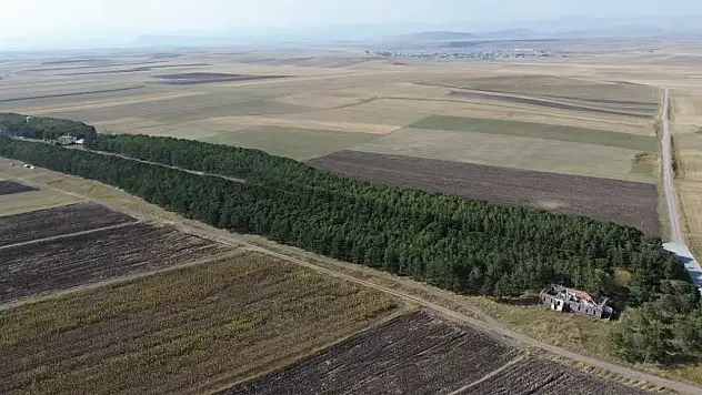 Kars'ta 'Devletin parasını gömüyorsunuz' dediler! 55 yıl sonra sonuç şaşırttı