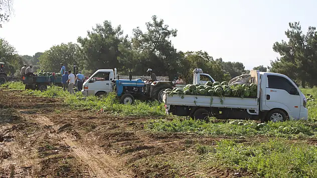 Çukurova'dan sonra Türkiye'nin gözü burada!