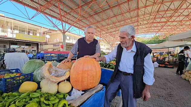 Darende'nin meşhur bal kabağı üreticiyi mutlu etti!