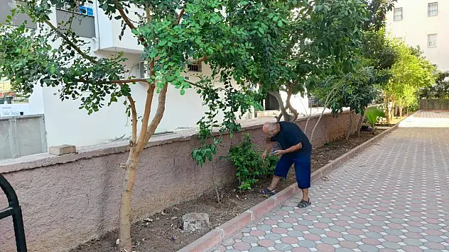 Çalınan telefonunun 15 ay sonra bulundu