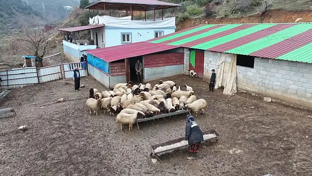 Depremzede besiciye devlet desteği