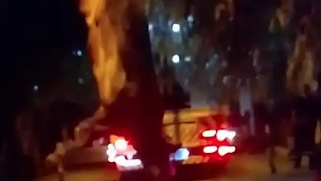 Kurbanlık dana dereye düştü