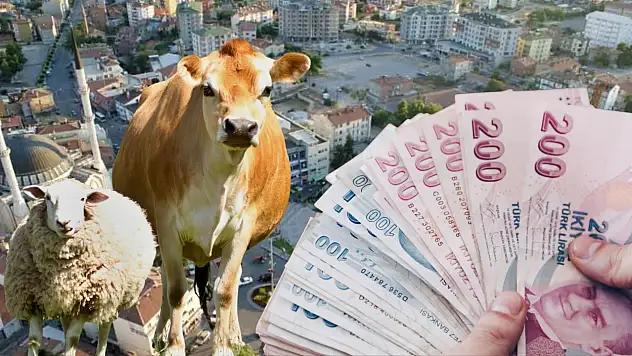 Develi'de 28 yıllık dönüşüm: Tarım ve hayvancılıkta dikkat çeken yükseliş