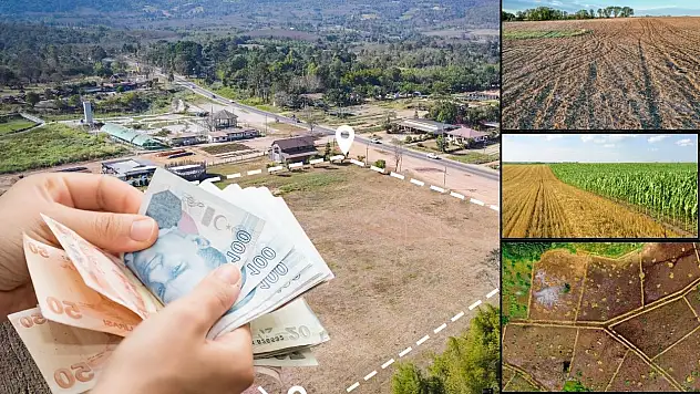 Develi'de Hazine arazileri satışa çıkıyor: İlçede dikkat çeken ihale listesi açıklandı!