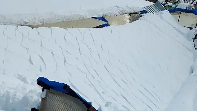Develi'de kar alarmı: Besi işletmesinin çatısı çöktü